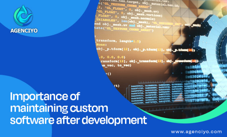 maintaining custom software after development