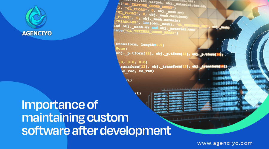 maintaining custom software after development